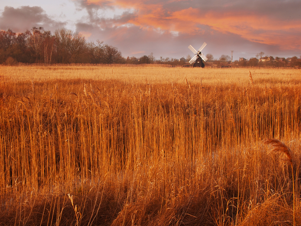 Countryside 3