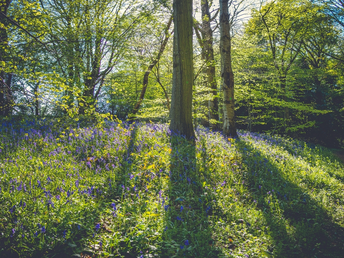 Greener future