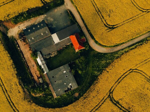 Agricultural-property