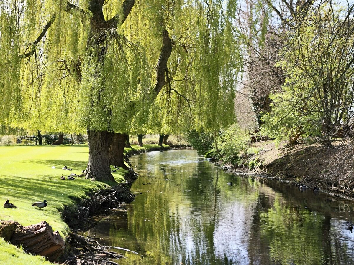 Bourne River