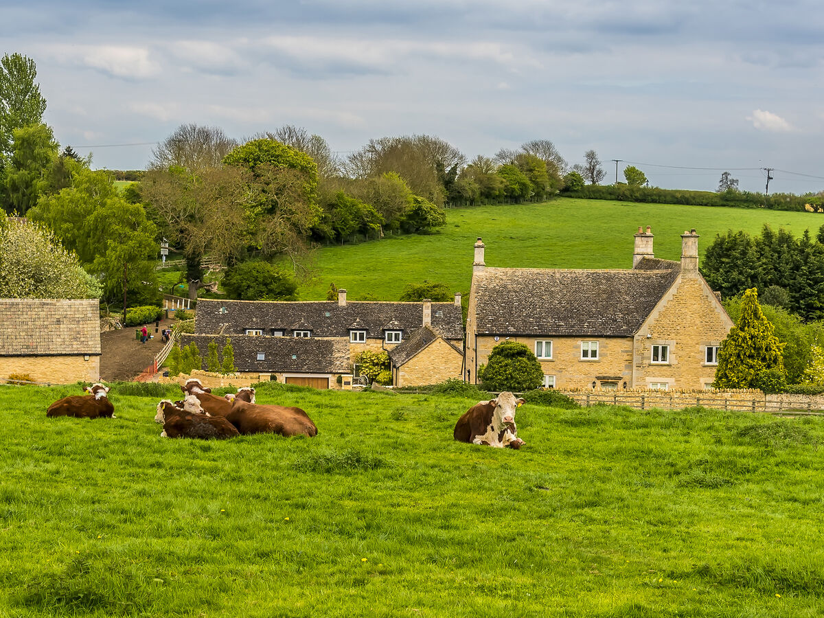 Stamford and Rutland Field