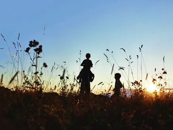 Shutterstock 425720491